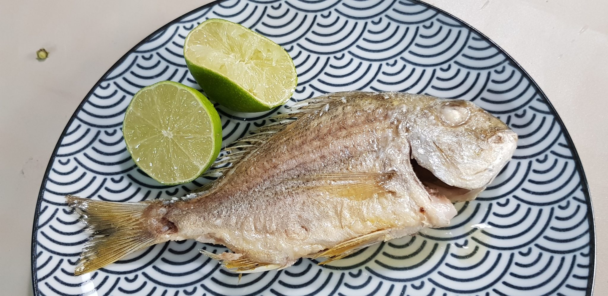 澎湖野生邦頭