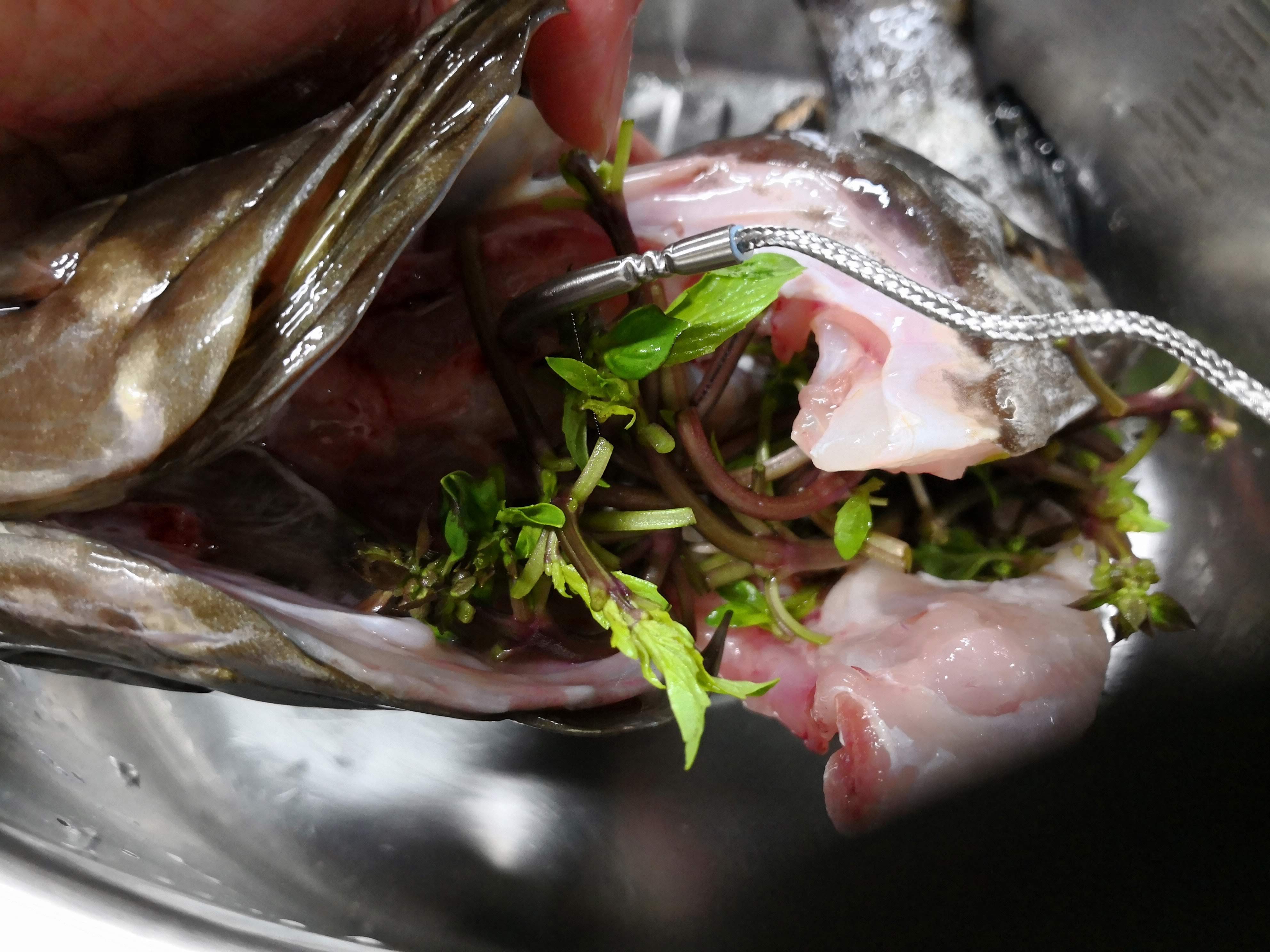 溫度棒肉心法 溫度棒肉心法