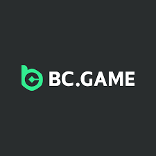 Understanding the BC.Game Privacy Policy Your Data and Security