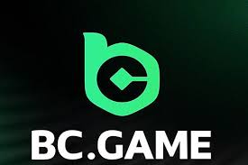 Top-notch Support Services at BC.Game Top-notch Support Services at BC.Game